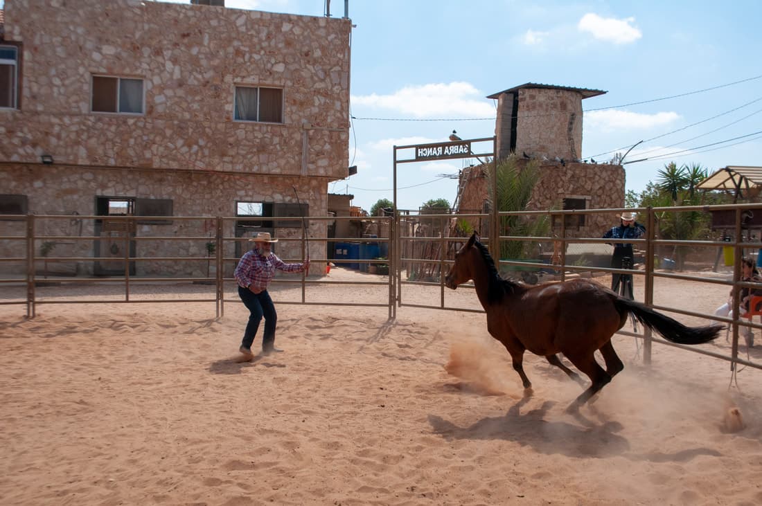 Colt Starting & Horse Training