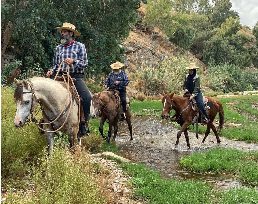 Trail Rides